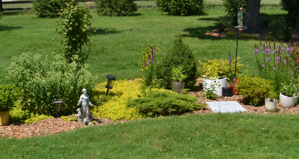 Pure Roots Farm