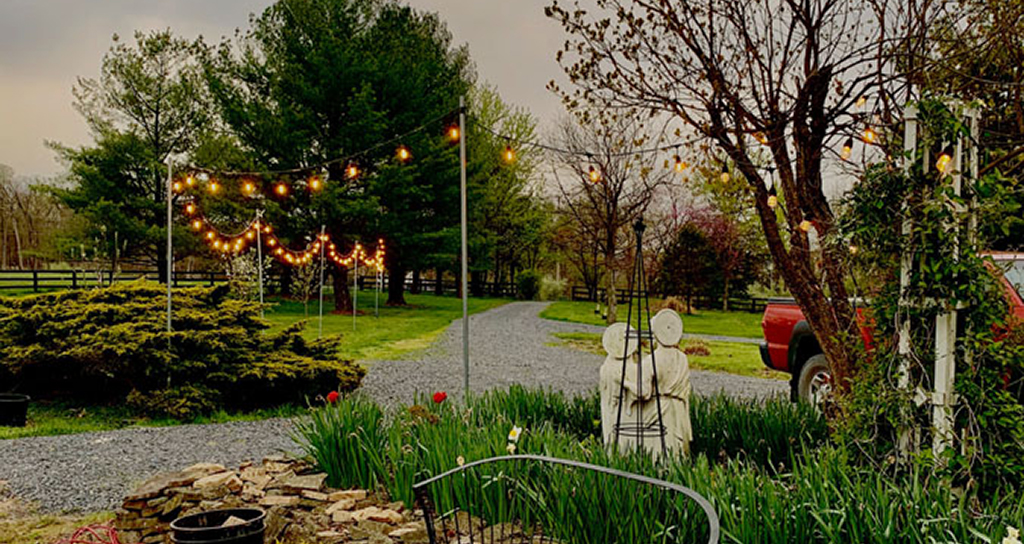 Pure Roots Farm